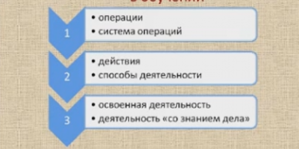 Структура деятельности по проведению олимпиад