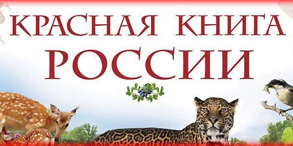 Творческий конкурс «Животные и растения Красной книги»